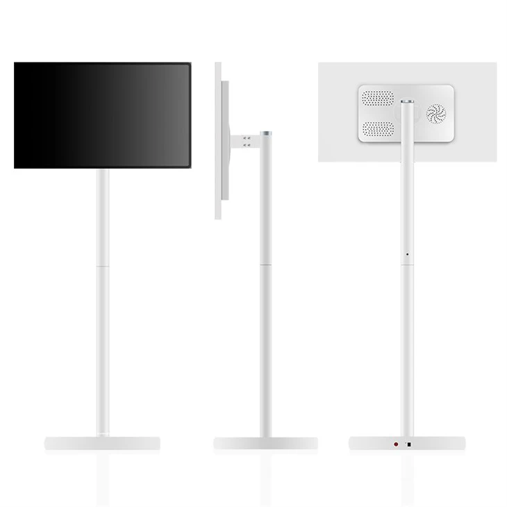 Mobile stand display for business